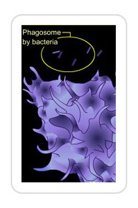 Bio virus penetration